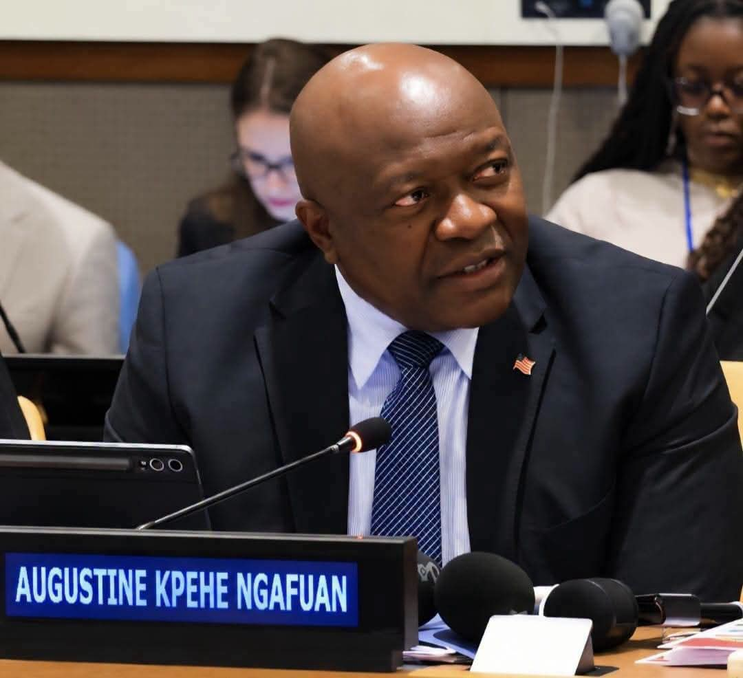 Funding Peace, Empowering Women -Ngafuan Demands National Peace Funding